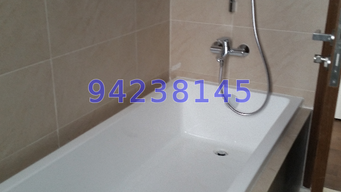 The Miltonia Residences (D27), Condominium #37490052